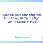 Soạn bài Thực hành tiếng Việt lớp 11 trang 89 Tập 1 | Ngữ văn 11 Kết nối tri thức