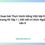 soạn bài thực hành tiếng việt lớp 9 trang 93 tập 1