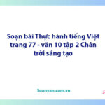 Soạn bài Thực hành tiếng Việt lớp 10 trang 77, 78 tập 2 | Ngữ văn 10 Chân trời sáng tạo