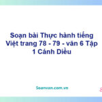 Soạn bài Thực hành tiếng Việt trang 78 - 79 – Cánh diều Văn 6