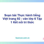 Soạn bài Thực hành tiếng Việt trang 92 – Kết nối tri thức Vắn 6