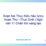 Soạn bài Thuý Kiều hầu rượu Hoạn Thư –Thúc Sinh | Ngữ văn 11 Chân trời sáng tạo