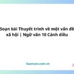 soạn bài thuyết trình về một vấn đề xã hội ngữ văn 10 cánh diều