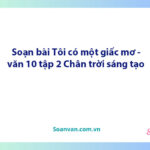 Soạn bài Tôi có một giấc mơ | Ngữ văn 10 Chân trời sáng tạo