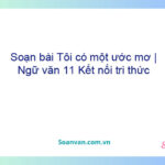 Soạn bài Tôi có một ước mơ | Ngữ văn 11 Kết nối tri thức