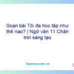 Soạn bài Tôi đã học tập như thế nào? | Ngữ văn 11 Chân trời sáng tạo