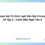 soạn bài tri thức ngữ văn lớp 9 trang 54 tập 2