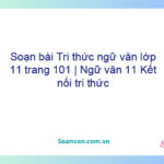 Soạn bài Tri thức ngữ văn lớp 11 trang 101 | Ngữ văn 11 Kết nối tri thức