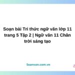 soạn bài tri thức ngữ văn lớp 11 trang 5 tập 2 ngữ văn 11 chân trời sáng tạo