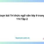 soạn bài tri thức ngữ văn lớp 9 trang 114 tập 2