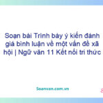 Soạn bài Trình bày ý kiến đánh giá, bình luận về một vấn đề xã hội | Ngữ văn 11 Kết nối tri thức