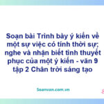 Soạn bài Trình bày ý kiến về một sự việc có tính thời sự; nghe và nhận biết tình thuyết phục của một ý kiến | Chân trời sáng tạo Ngữ văn 9