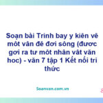 Soạn bài Trình bày ý kiến về một vấn đề đời sống | Kết nối tri thức Ngữ văn 7