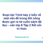 Soạn bài Trinh bày ý kiến về một vấn đề trong đời sống được gợi ra từ cuốn sách đã đọc – Kết nối tri thức Văn 6