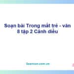 Soạn bài Trong mắt trẻ | Cánh diều Ngữ văn 8