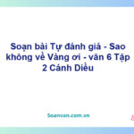 Soạn bài Tự đánh giá - Sao không về Vàng ơi – Cánh diều Văn 6