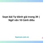 soạn bài tự đánh giá trang 39 ngữ văn 10 cánh diều