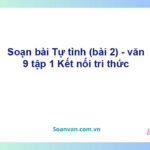 Soạn bài Tự tình (bài 2) | Kết nối tri thức Ngữ văn 9