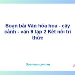 Soạn bài Văn hóa hoa - cây cảnh | Kết nối tri thức Ngữ văn 9