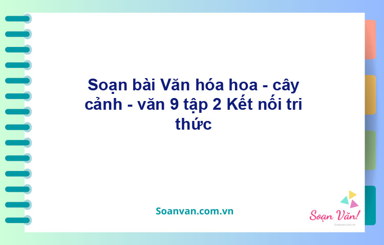 Soạn bài Văn hóa hoa - cây cảnh | Kết nối tri thức Ngữ văn 9