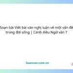 soạn bài viết bài văn nghị luận về một vấn đề trong đời sống cánh diều ngữ văn 7