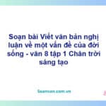 Soạn bài Thảo luận ý kiến về một vấn đề đời sống | Chân trời sáng tạo Ngữ văn 8