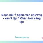 Soạn bài Ý nghĩa văn chương | Chân trời sáng tạo Ngữ văn 9