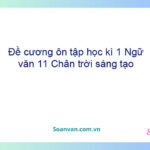 Đề cương ôn tập học kì 1 Ngữ văn 11 Chân trời sáng tạo