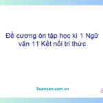 Đề cương ôn tập học kì 1 Ngữ văn 11 Kết nối tri thức