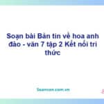 Soạn bài Bản tin về hoa anh đào | Kết nối tri thức Ngữ văn 7