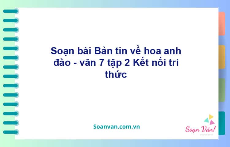 Soạn bài Bản tin về hoa anh đào | Kết nối tri thức Ngữ văn 7