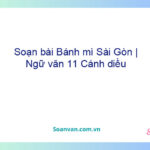 Soạn bài Bánh mì Sài Gòn | Ngữ văn 11 Cánh diều