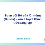 Soạn bài Bố của Xi-mông (Simon) | Chân trời sáng tạo Ngữ văn 8