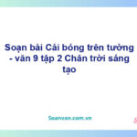 Soạn bài Cái bóng trên tường | Chân trời sáng tạo Ngữ văn 9