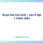 Soạn bài Cái kính | Cánh diều Ngữ văn 8