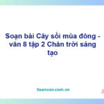 Soạn bài Cây sồi mùa đông | Chân trời sáng tạo Ngữ văn 8