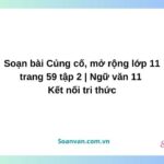 soạn bài củng cố mở rộng lớp 11 trang 59 tập 2 ngữ văn 11 kết nối tri thức