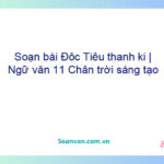 Soạn bài Độc Tiểu thanh kí | Ngữ văn 11 Chân trời sáng tạo