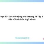 soạn bài Đọc mở rộng lớp 8 trang 79 tập 1 kết nối tri thức ngữ văn 8