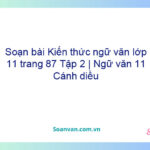 Soạn bài Kiến thức ngữ văn lớp 11 trang 87 Tập 2 | Ngữ văn 11 Cánh diều