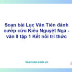 Soạn bài Lục Vân Tiên đánh cướp, cứu Kiều Nguyệt Nga | Kết nối tri thức Ngữ văn 9