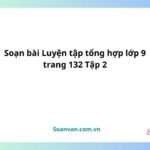 soạn bài luyện tập tổng hợp lớp 9 trang 132 tập 2