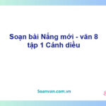 Soạn bài Nắng mới | Cánh diều Ngữ văn 8