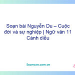 Soạn bài Nguyễn Du – Cuộc đời và sự nghiệp | Ngữ văn 11 Cánh diều