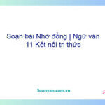 Soạn bài Nhớ đồng | Ngữ văn 11 Kết nối tri thức