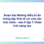 Soạn bài Những điều bí ẩn trong tập tính di cư của các loài chim | Chân trời sáng tạo Ngữ văn 8