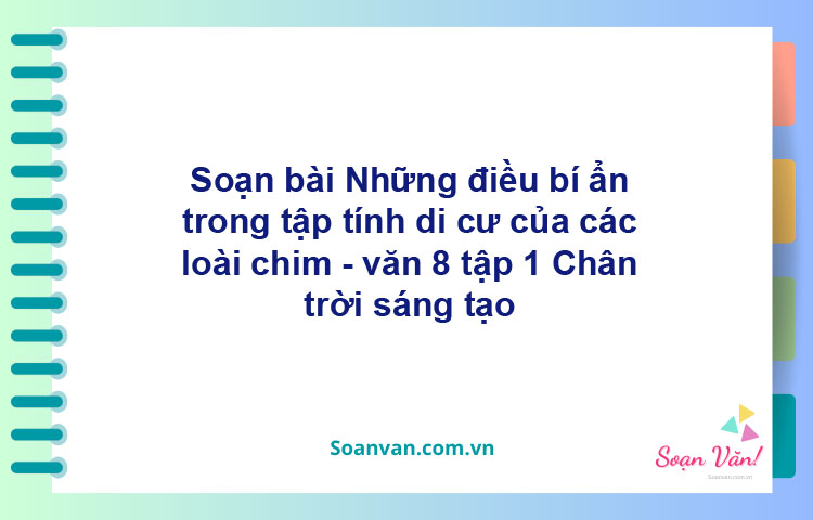 Soạn bài Những điều bí ẩn trong tập tính di cư của các loài chim | Chân trời sáng tạo Ngữ văn 8