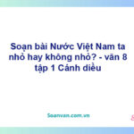 Soạn bài Nước Việt Nam ta nhỏ hay không nhỏ? | Cánh diều Ngữ văn 8