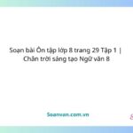 soạn bài Ôn tập lớp 8 trang 29 tập 1 chân trời sáng tạo ngữ văn 8