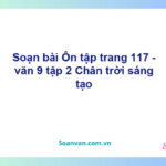 Soạn bài Ôn tập lớp 9 trang 117 Tập 2